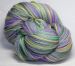 BFL DK - Bearded Iris